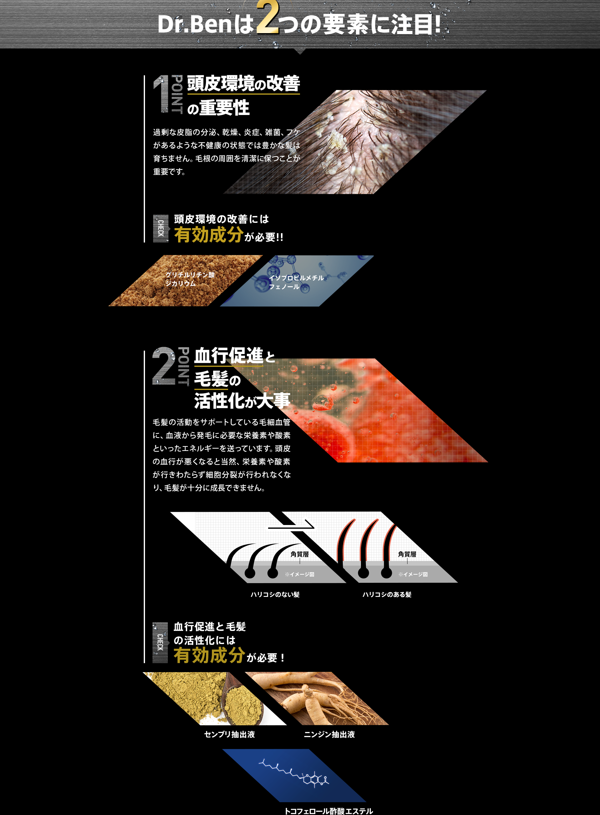 Dr.Benは2つの要素に注目