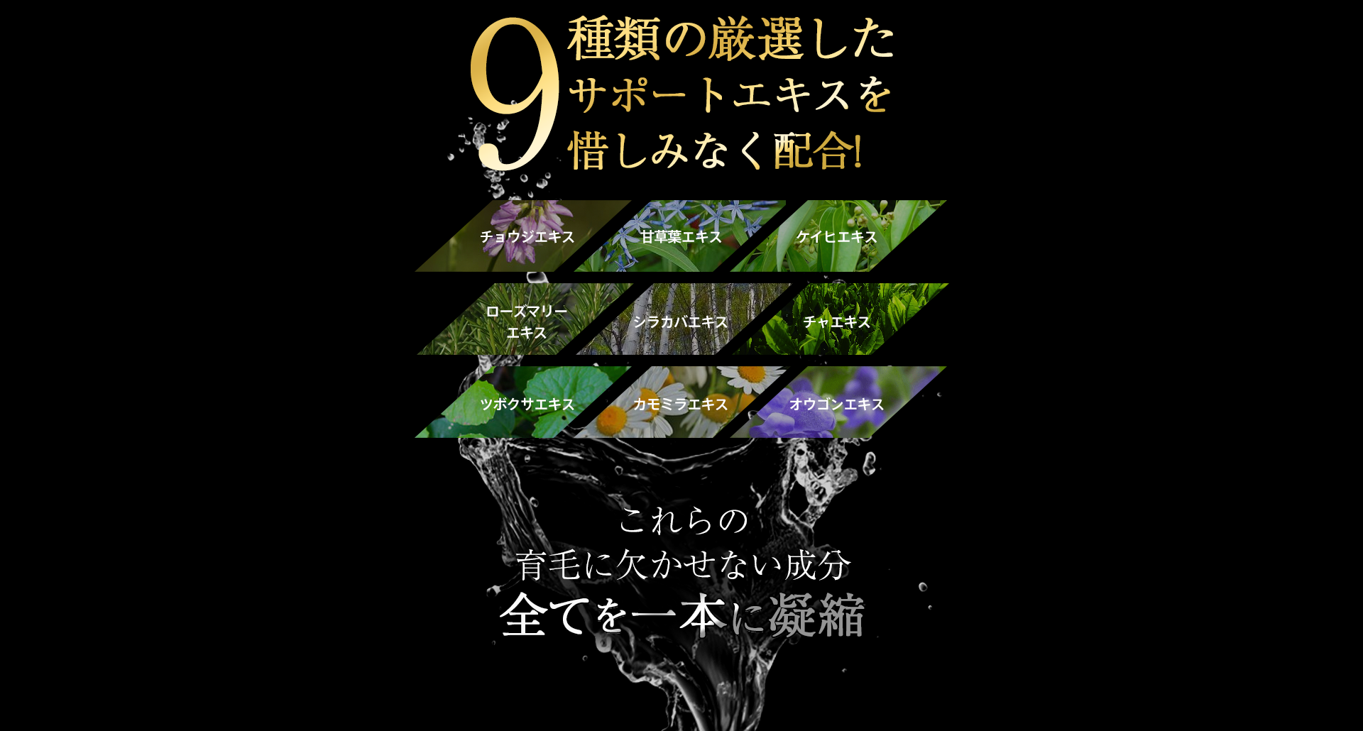 9種類の厳選したサポートエキスをおしみなく配合